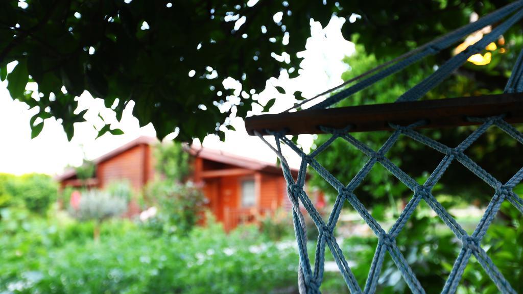 Hayitbuku Ahsapevleri Pensjonat Mesudiye  Zewnętrze zdjęcie